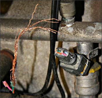 My rat gnawed the wires off one of the van's fuel injectors